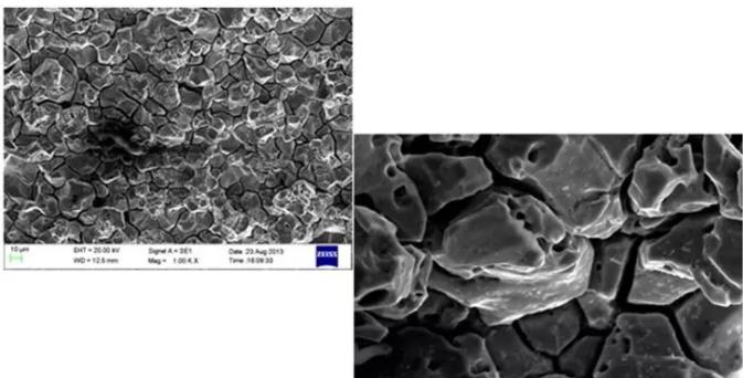 大足大足蔡司大足扫描电镜